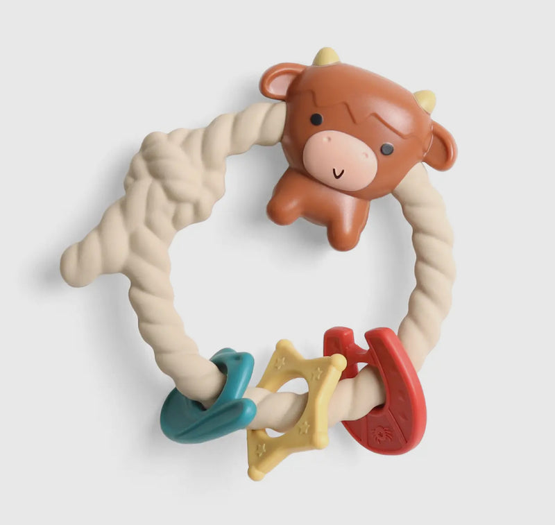 Ritzy Rattle™ Silicone Teether Rattles