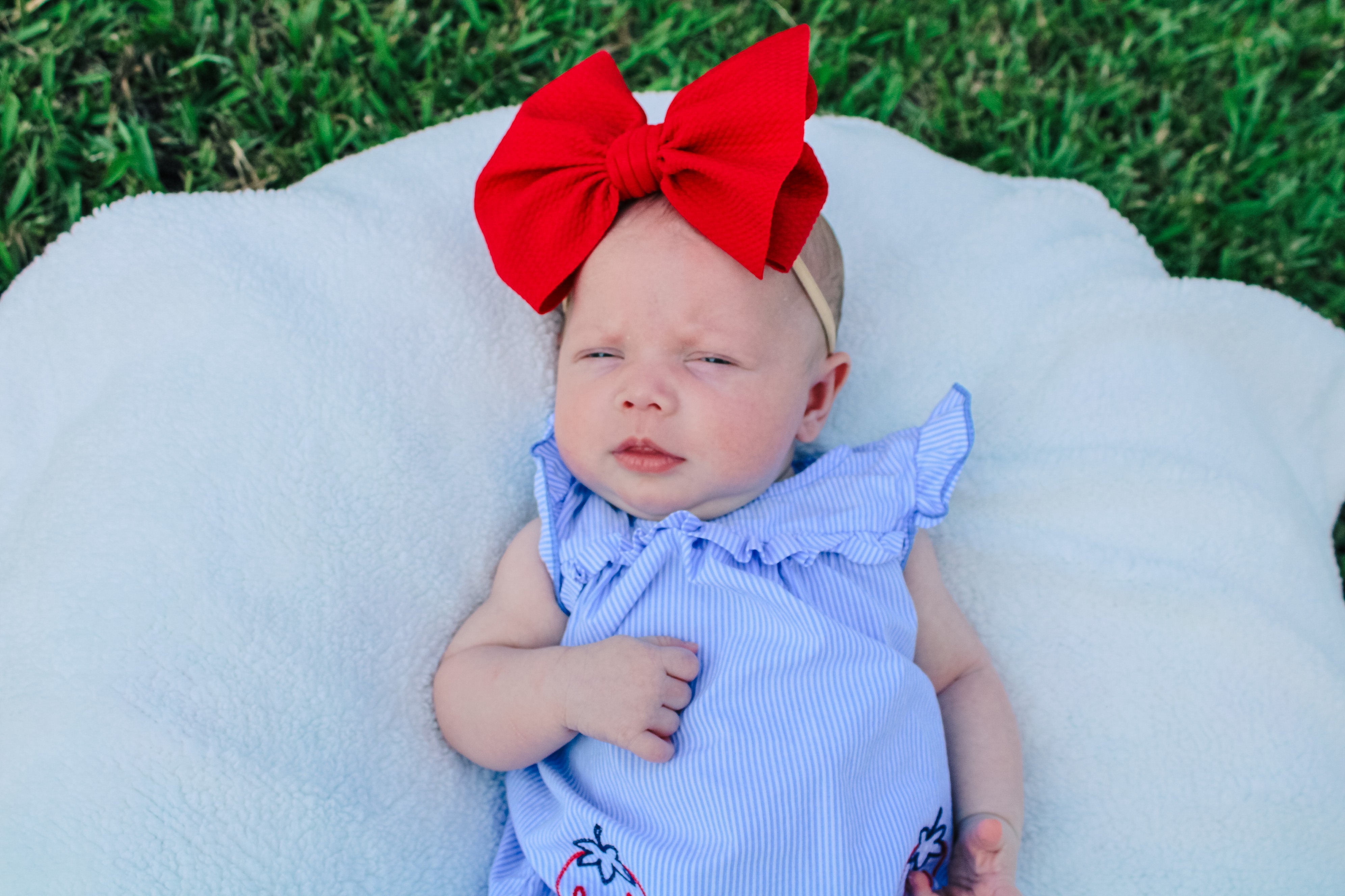 Rojo - Made to Order – Little Roo's MN, LLC